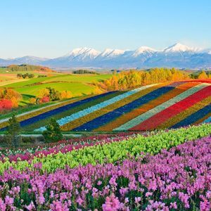 Meet your Posher, Emmet